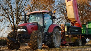 ZBIÓR DYŃ 2023☆CASE MAXXUM 115☆MASSEY FERGUSON 7485 TheRol Team 2023 [upl. by Nosnek234]