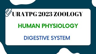 Human Digestive System  Human Physiology For URATPG Zoology 2023  Mudgalbiology [upl. by Adnovaj239]