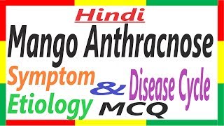 Mango Anthracnose History Symptom Etiology Disease Cycle  Plant Pathology  PHF [upl. by Nelly]