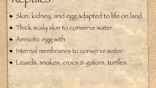 Life Ch 12 Vertebrates Fish Amphibians amp Reptiles [upl. by Rosa]