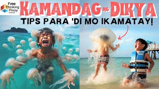 BOX JELLYFISH Ang pinaka makamandag na hayop sa dagat ng Pinas [upl. by Puiia]