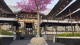 Yamashiro Restaurant Jan 30 2024 [upl. by Lleddaw]