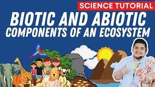 BIOTIC AND ABIOTIC COMPONENTS OF AN ECOSYSTEM  SCIENCE 7 QUARTER 2 [upl. by Assadah829]