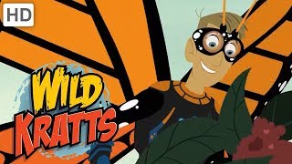 Wild Kratts  Spread Your Little Wings 🦋🦇  Kids Videos [upl. by Alleinad]