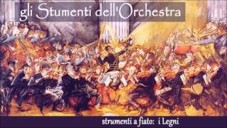 Gli strumenti dellorchestra I LEGNI 25 [upl. by Corinna]