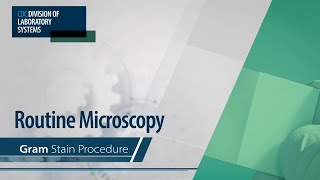 Routine Microscopy – Gram Stain Procedure [upl. by Popelka]