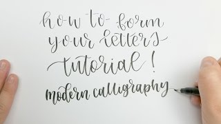 How to Form Letters in Modern Calligraphy  The Anatomy of a Letter [upl. by Rianon]