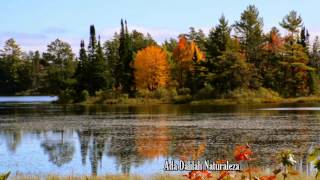 LEO ROJAS COLORFUL AUTUMN Pan Flute [upl. by Thorr]