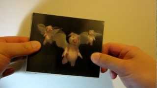 Flying Pigs ☆ CUSTOM ☆ No 22 Lenticular motion cards 3D 1080p [upl. by Roger]