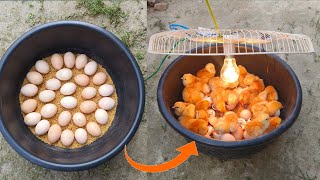 BEST Incubator For Chicken Eggs With 100 Efficiency  Chicken Hatchery  Chicken Egg Incubator [upl. by Creighton]