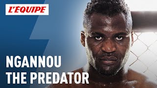 Francis Ngannou linstinct du combat  Documentaire LÉquipe Explore 2017 [upl. by Eerak]