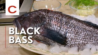 Black Bass  Chef Francesco Martorella  Tips shorts [upl. by Eyllek]