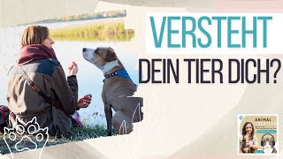 Tierkommunikation Woher weißt du dass deine Botschaft beim Tier angekommen ist Podcast 213 [upl. by Ogata]