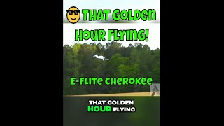 Unbelievable Vertical Climbing With The Eflite Cherokee [upl. by Landsman]