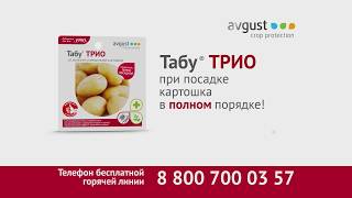 Табу® ТРИО от болезней колорадского жука проволочника и погодных стрессов [upl. by Sayed]