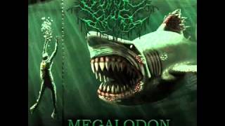 Guttural Slug  Megalodon 2013 full album [upl. by Wolram350]