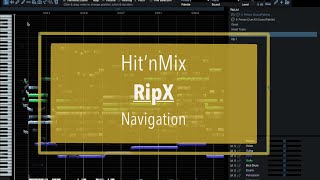 Hit’n’Mix RipX  Tutorial Part 2 Navigation [upl. by Anailuig842]