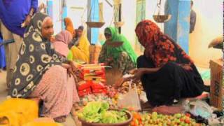 UNDP  SOMALIA Cash for Work [upl. by Ylac]