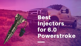 Best Injectors for 60 Powerstroke  Top 5 Injectors of 2020 [upl. by Puett]