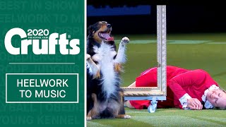 Heelwork To Music  Freestyle International Winner at Crufts 2020 [upl. by Dulla]