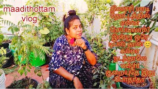 தினசரி மாடி தோட்டத்தில் இன்று அருமையான டிப்ஸ் பார்க்கலாம் வாங்க RajiGowthaman [upl. by Lucic]