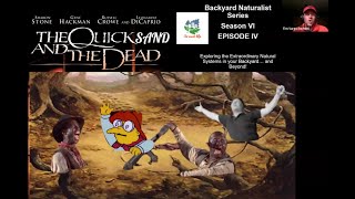 The Quicksand and the Dead  Backyard Naturalist Lecture Series [upl. by Caswell224]