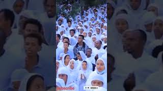 አለም ተደነቀ orthodoxmezmur ኦርቶዶክስ mezmur ethiopianorthodoxnew መዝሙር አዲስዝማሬ ethiopiantiktok [upl. by Sucul]