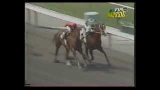 MATCH RACE  Quarter Horse vs Thoroughbred [upl. by Catto]