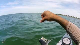 Anna Maria Island Fishing Street View [upl. by Caryl506]