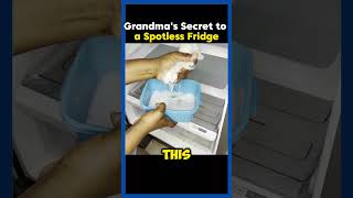 Discover the Secret for a Spotless Fridge 🧼❄️ [upl. by Foskett987]