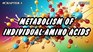 Chapter  3  Metabolism Of Individual Amino Acids Part3  Hindi [upl. by Attenrev]