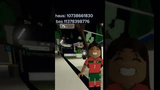 NEW ALL WORKING CODES FOR BROOKHAVEN IN 2024 ROBLOX BROOKHAVEN CODES [upl. by Annabal]