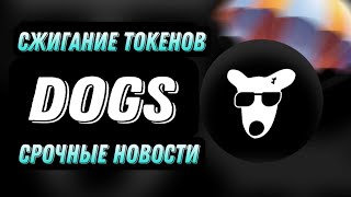 DOGS СРОЧНЫЕ НОВОСТИ  СЖИГАНИЕ ТОКЕНОВ DOGS [upl. by Yellat1]