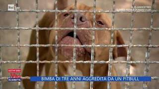 Bimba di tre anni aggredita da un pitbull  La Vita in diretta 13052024 [upl. by Budd295]