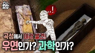 ※ 소름주의 곡성에서 400년 전 미라가 나타났다고 ※┃Shock Alert 400YearOld Mummy Found in Gokseong [upl. by Islaen]