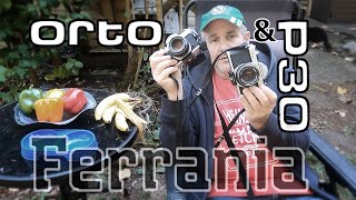 Ferrania P30 amp Orto 50 A Comparison of Two Films [upl. by Lindner]