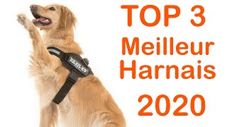 TOP 3  Meilleur Harnais pour Chien 2020 [upl. by Adnilemreh]