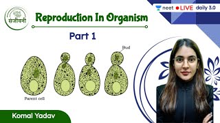 Reproduction In Organism  L1  NEET 202223  Komal Yadav [upl. by Griffis198]