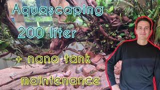 Asian River Aquascape 50 gallons with barbs and botias [upl. by Fatsug]