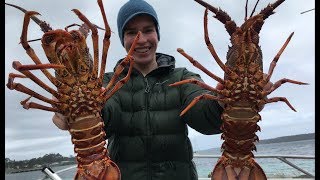 Crayfish Diving Southport Tasmania [upl. by Arluene560]