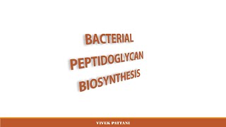 Biosynthesis of Peptidoglycan for biology students [upl. by Bluhm]