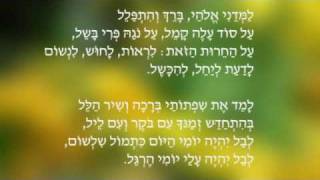 Lamdeni Elohay  Leah Goldberg Yonatan Niv [upl. by Akirdnas631]