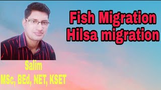 Fish migration Part1 Hilsa migration Anadromous migration [upl. by Leiuqese912]