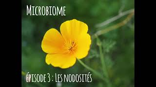 Microbiome  épisode 3  les nodosités [upl. by Adiana]