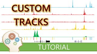 MAKE YOUR GENOMIC DATA LOOK STUNNING WITH THE UCSC GENOME BROWSER  The Secrets Of Custom Tracks [upl. by Neyr]