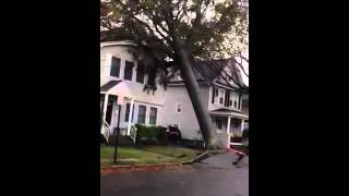 Tree falls on house Hurricane Sandy [upl. by Leahcimnoj]