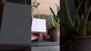 Giva free gift worth Rs 1499 🤯 viral trending earrings review youtubeshorts short giva [upl. by Aborn]