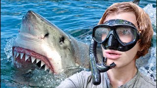 Diving with GreatWhite Sharks in South AUSTRALIA [upl. by Mcgean203]