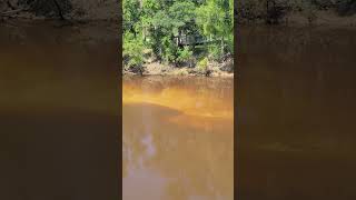 Interesting sand features in the Calcasieu River near Oberlin La [upl. by Wyatan]