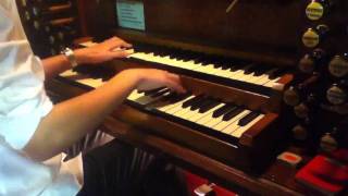 Nuvole Bianche  ORGAN VERSION by TheAdamPiano HD [upl. by Sualkin]